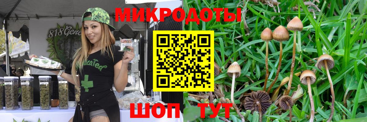 Галлюциногенные грибы MAGIC MUSHROOMS Симферополь